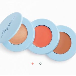 Alleyoop highlighter, blush, bronzer in the shade sunkissed
